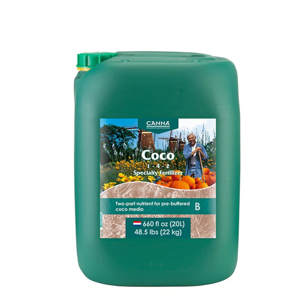 Canna COCO (B) - Image 3