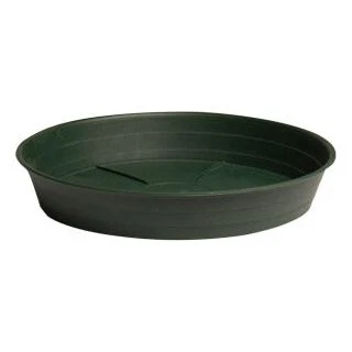 Green Premium Saucers - Image 4