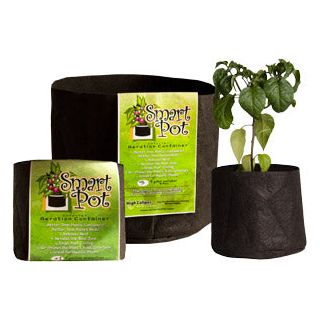 Smart Pot - Black - Image 14