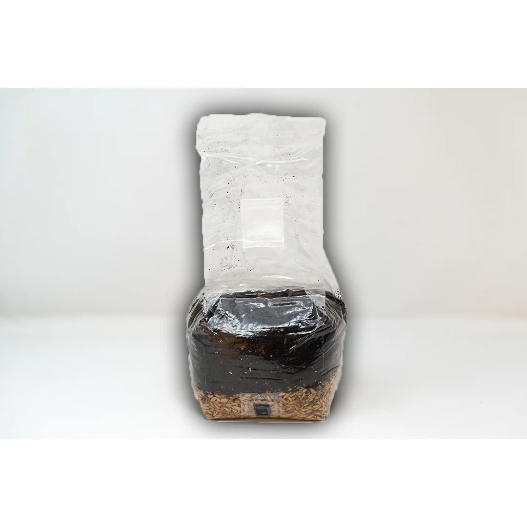 Monster Mushroom Company Super Grow All-in-One Grow Bag 3 lb - Image 3