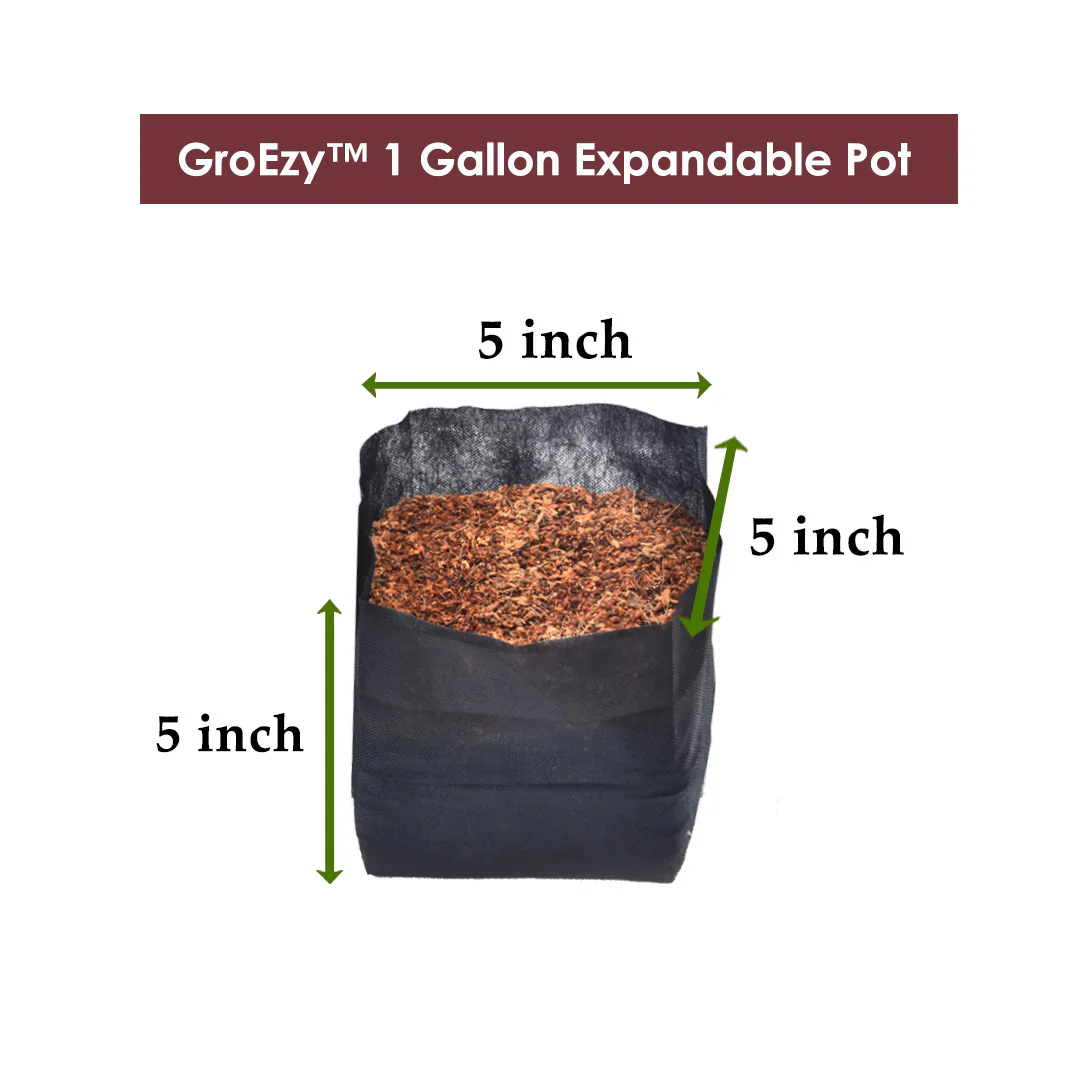 GroEzy Expandable Pots - Straight Coco Blocks in Fabric Bags - Image 2