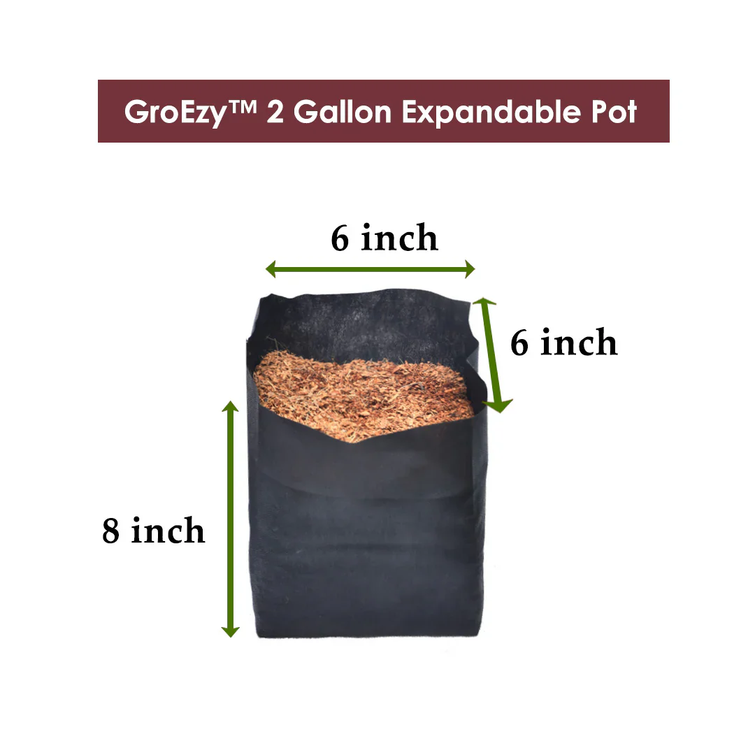 GroEzy Expandable Pots - Straight Coco Blocks in Fabric Bags - Image 3